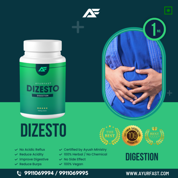 Dizesto