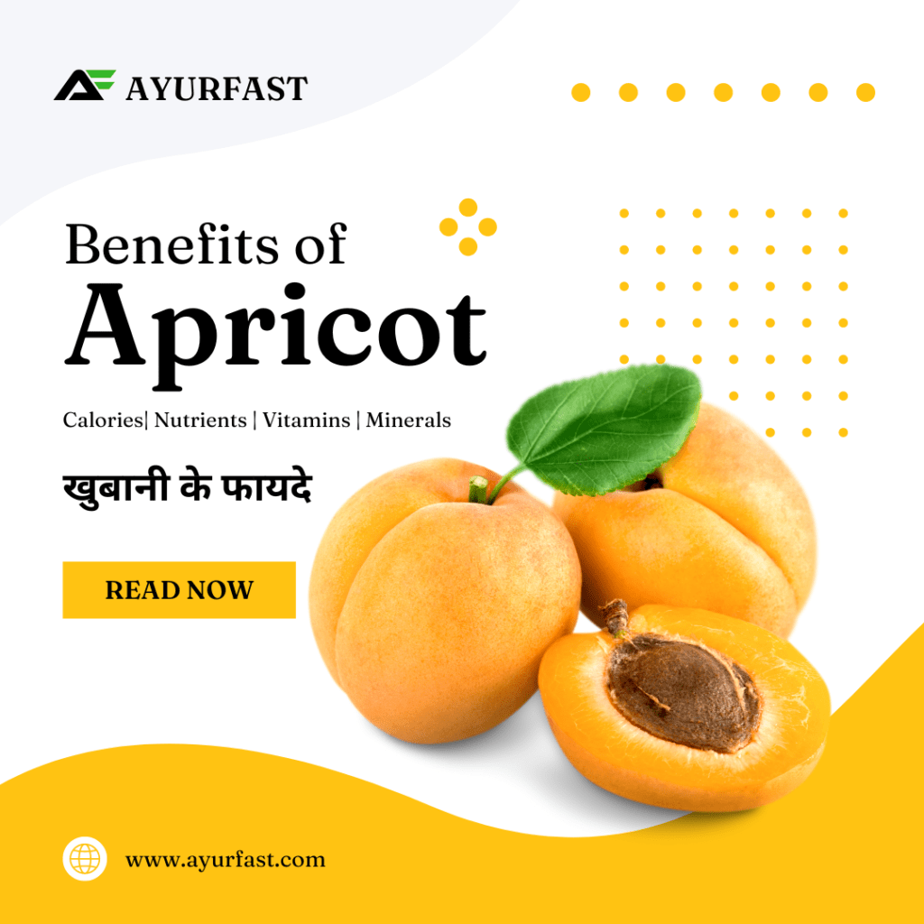 Apricot