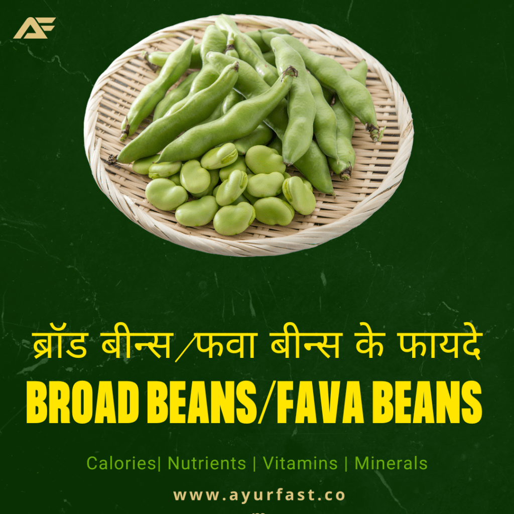 Broad beans/fava beans