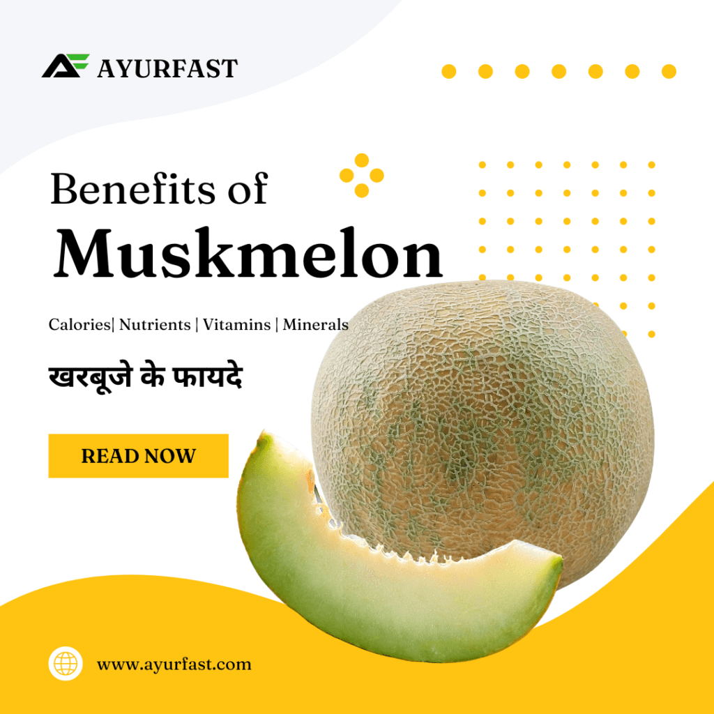 Musk Melon