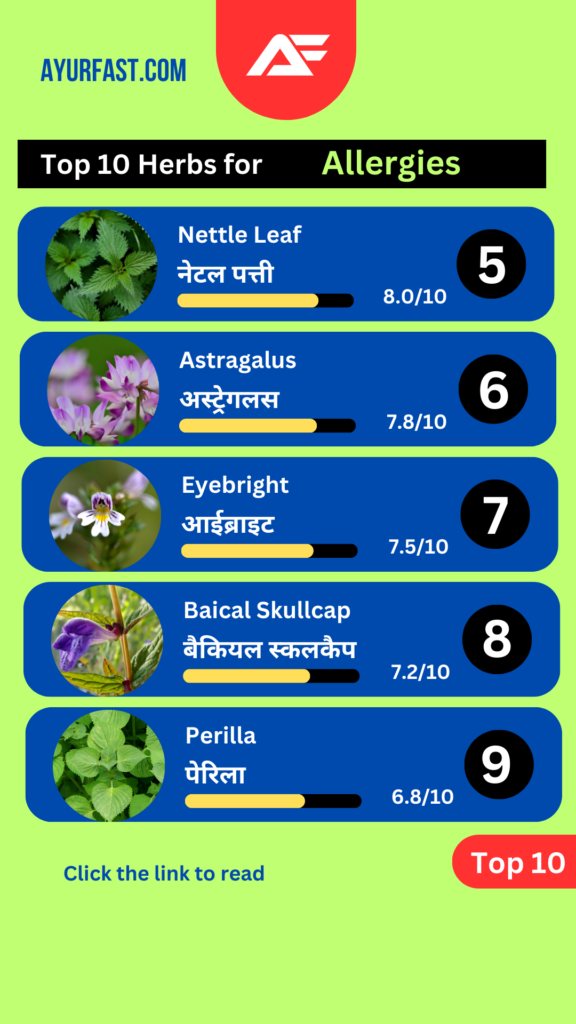 Top 10 Herbs For Allergies